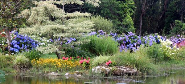 Etang du Parc botanique-Infos pratiques